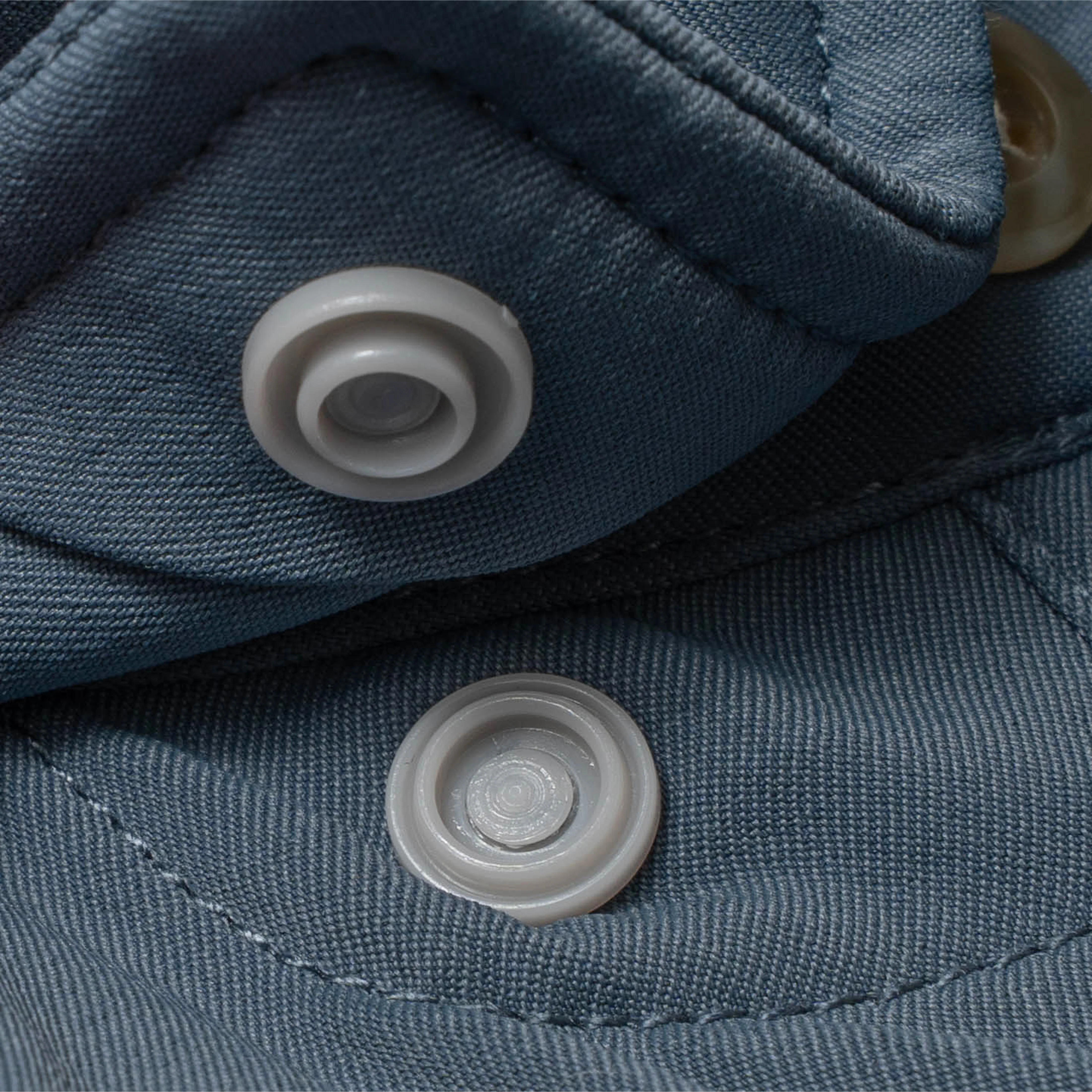 The Bigeye - Image 6