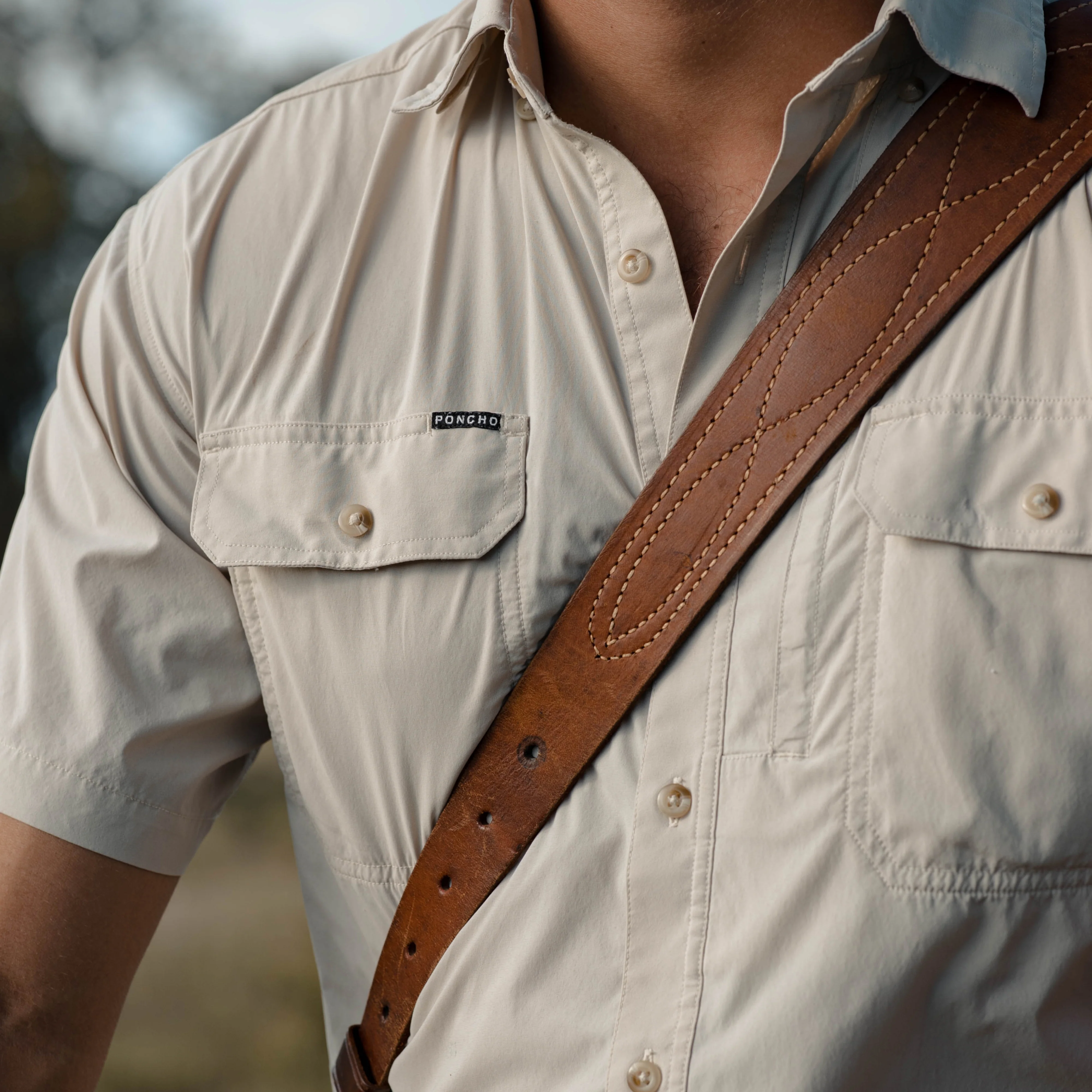 The Brown Bear - Image 7