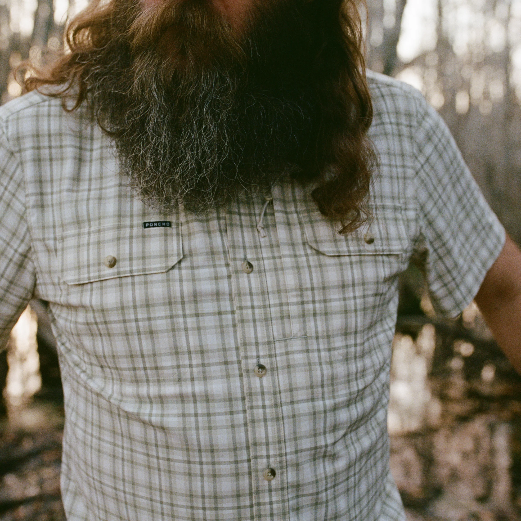 The Everglades - Image 7