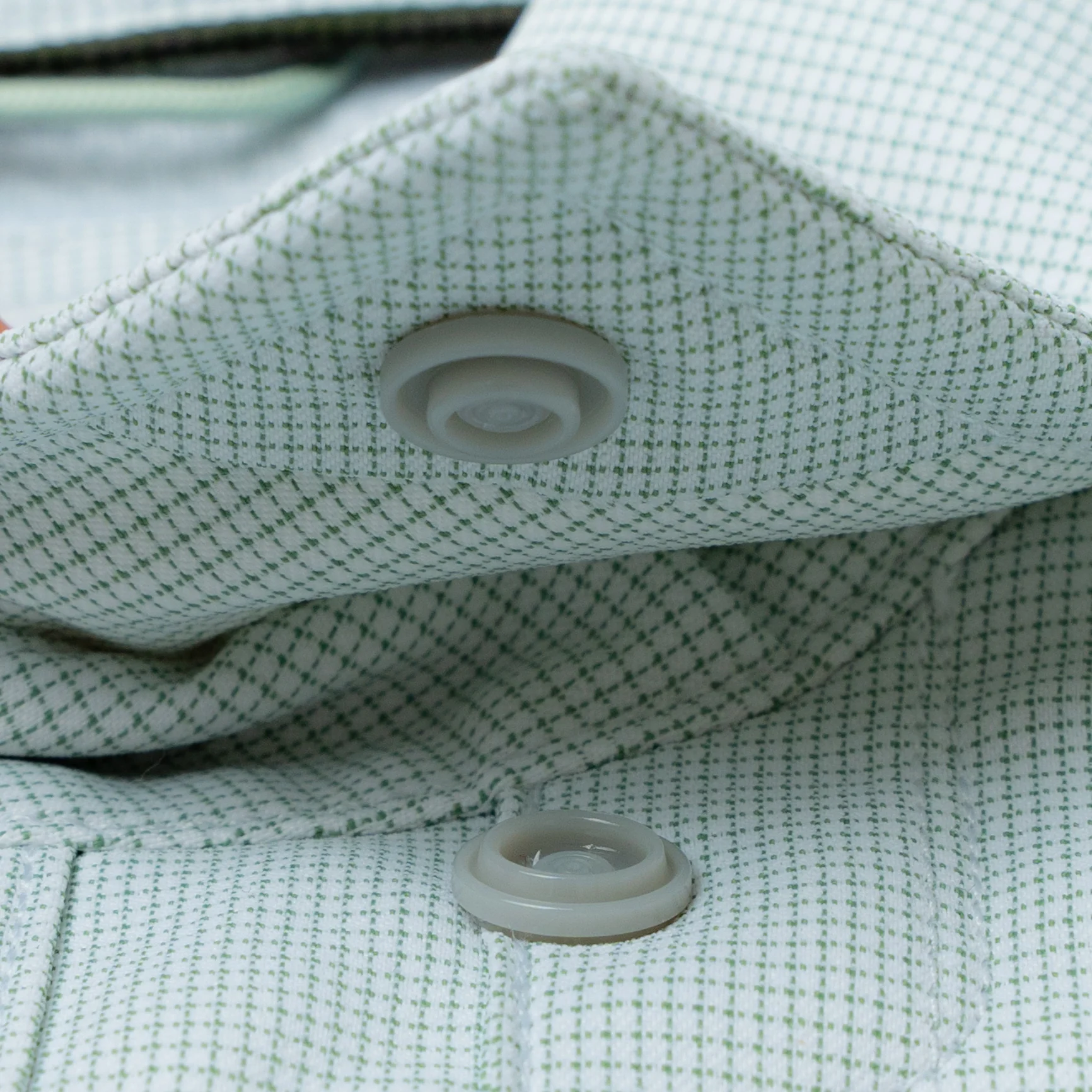 The Green Monster - Image 6