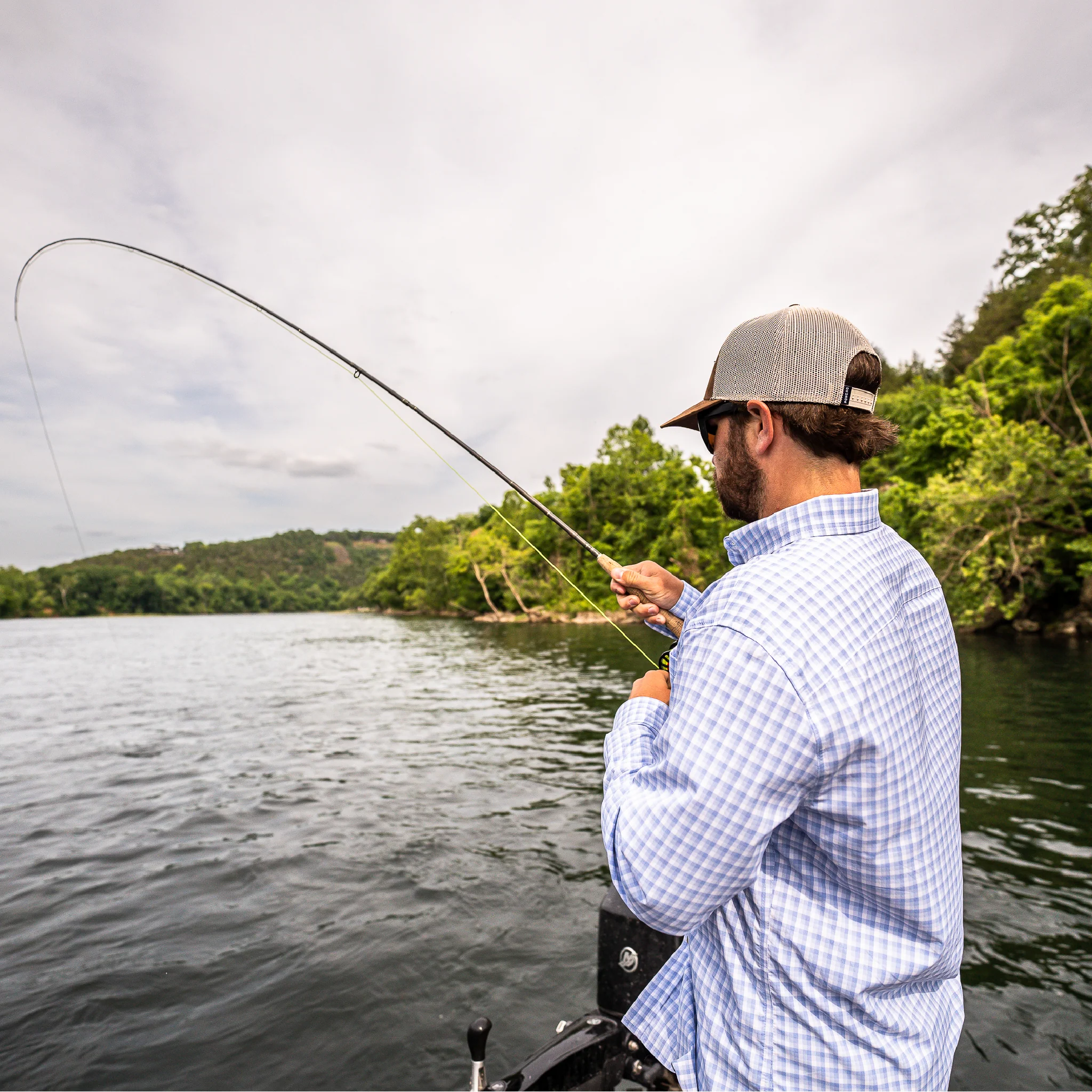 The Kingfish - Image 4