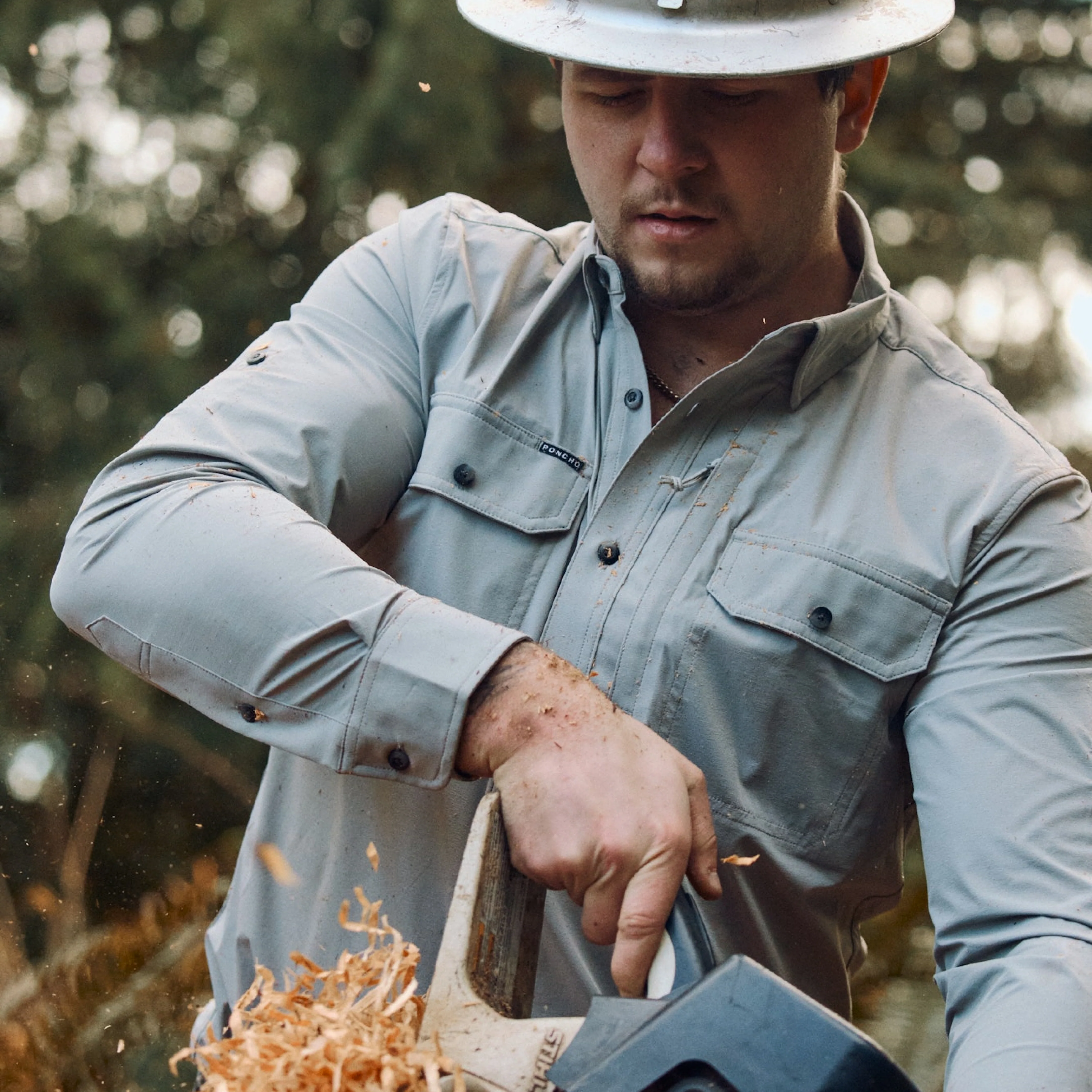 The Logger - Image 2