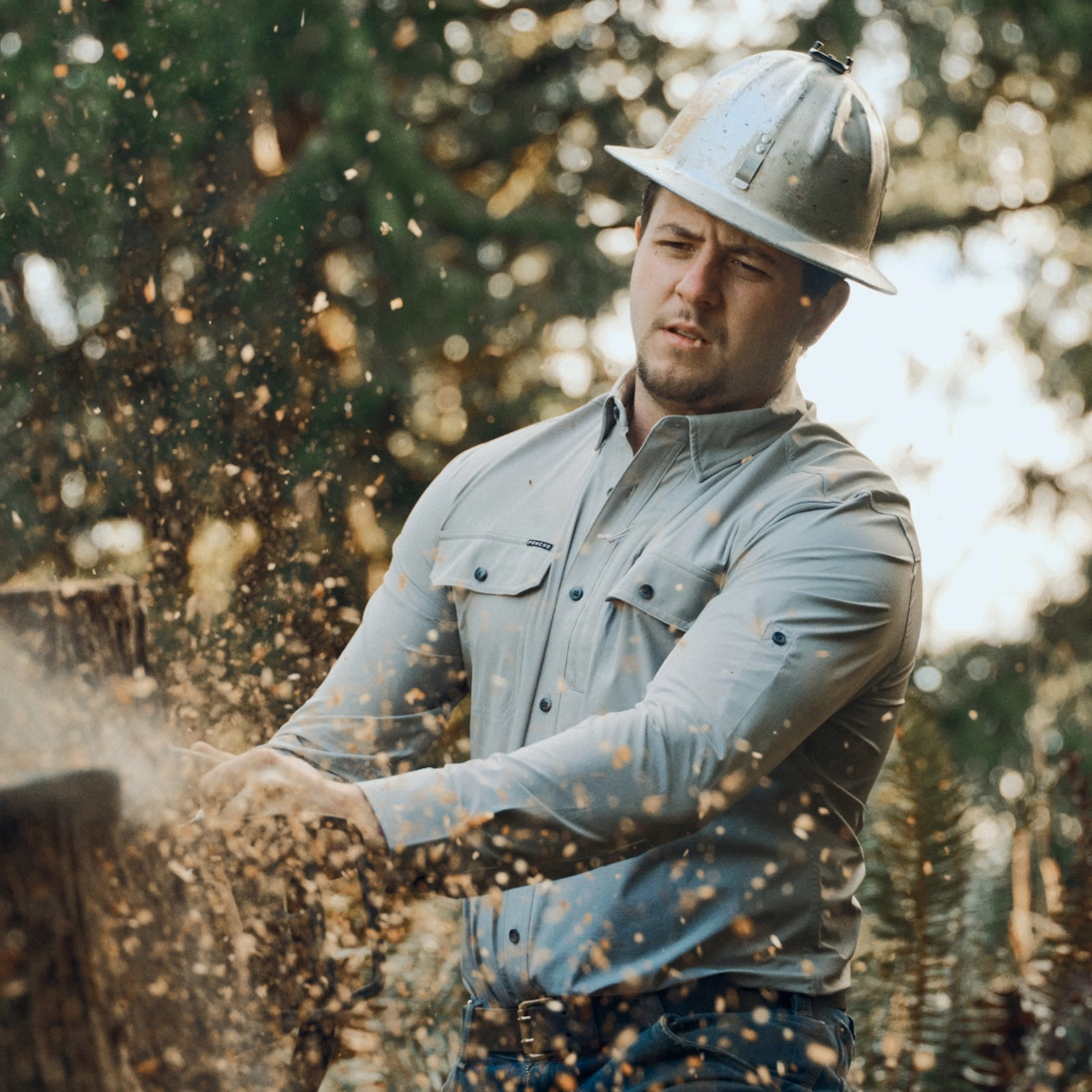The Logger - Image 5