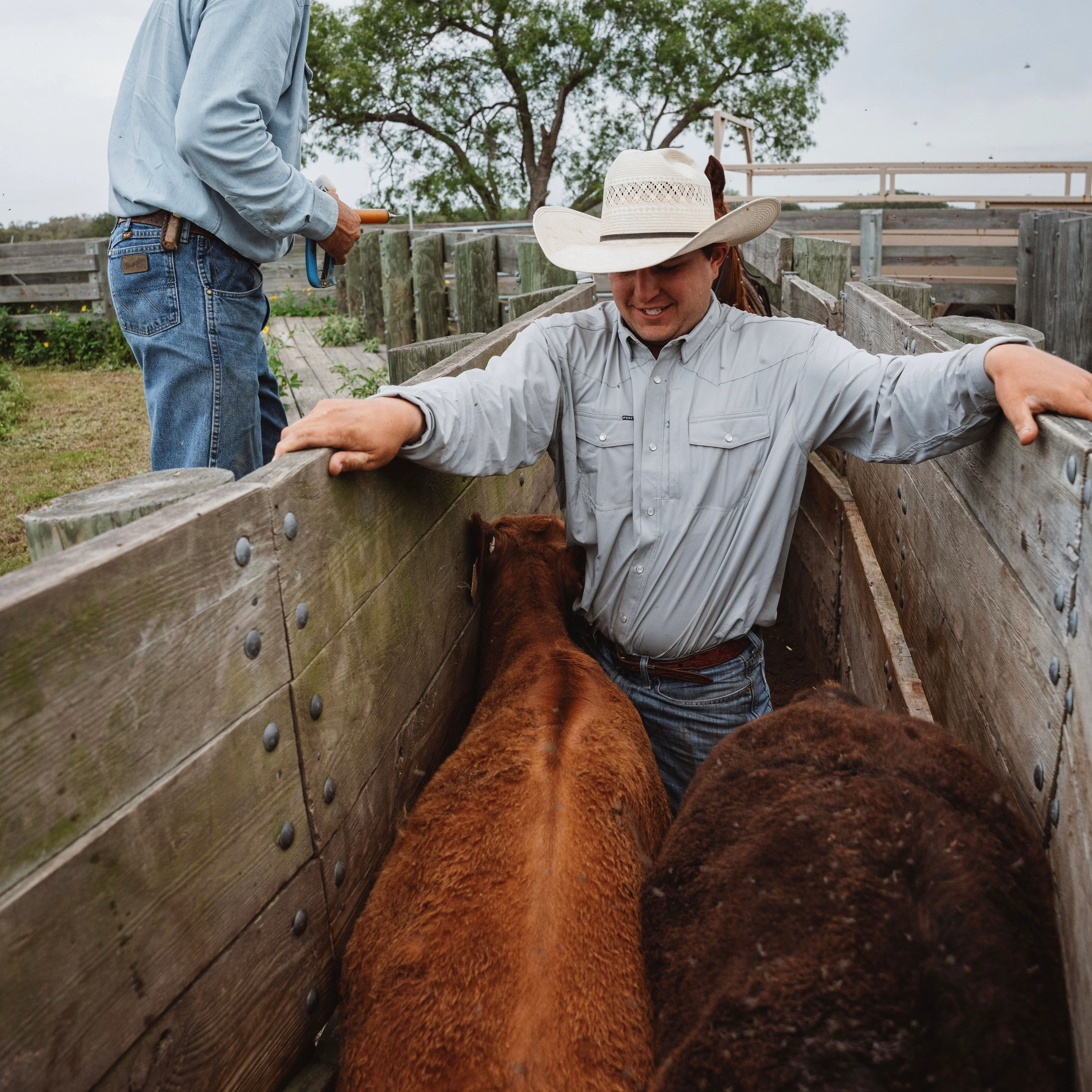 The San Saba - Image 7
