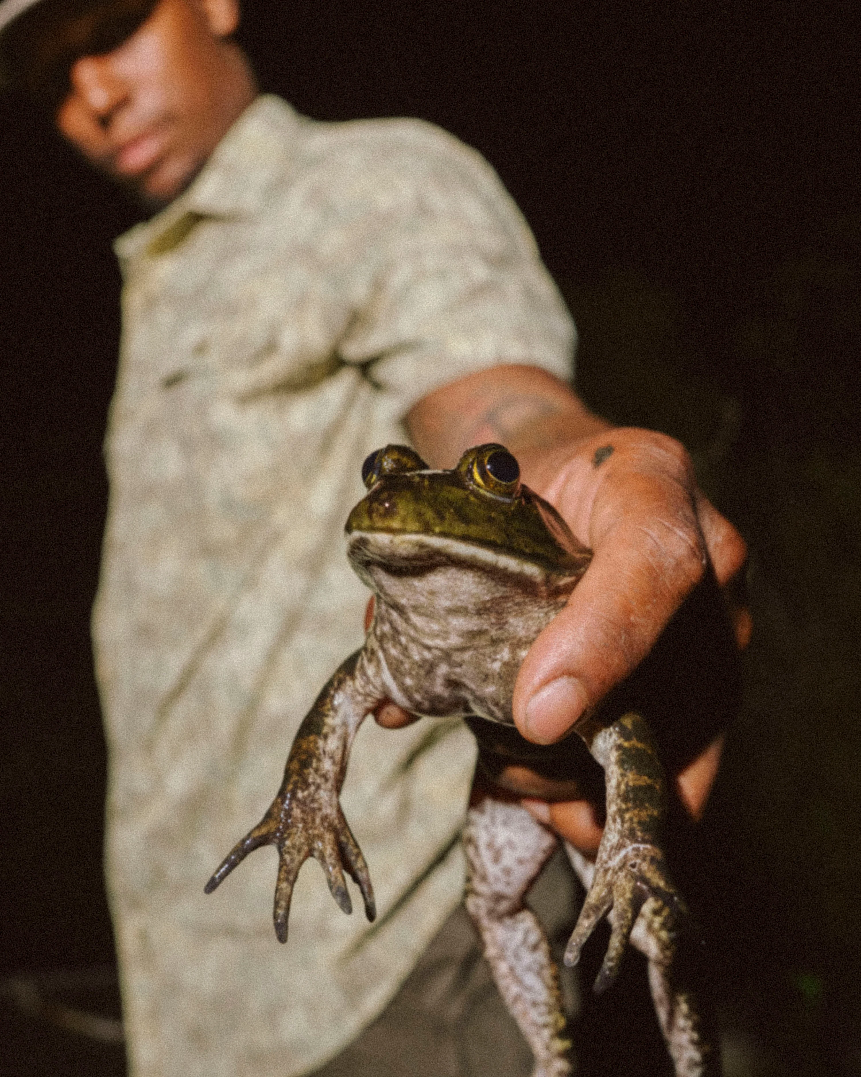The Swamp Donkey - Image 7