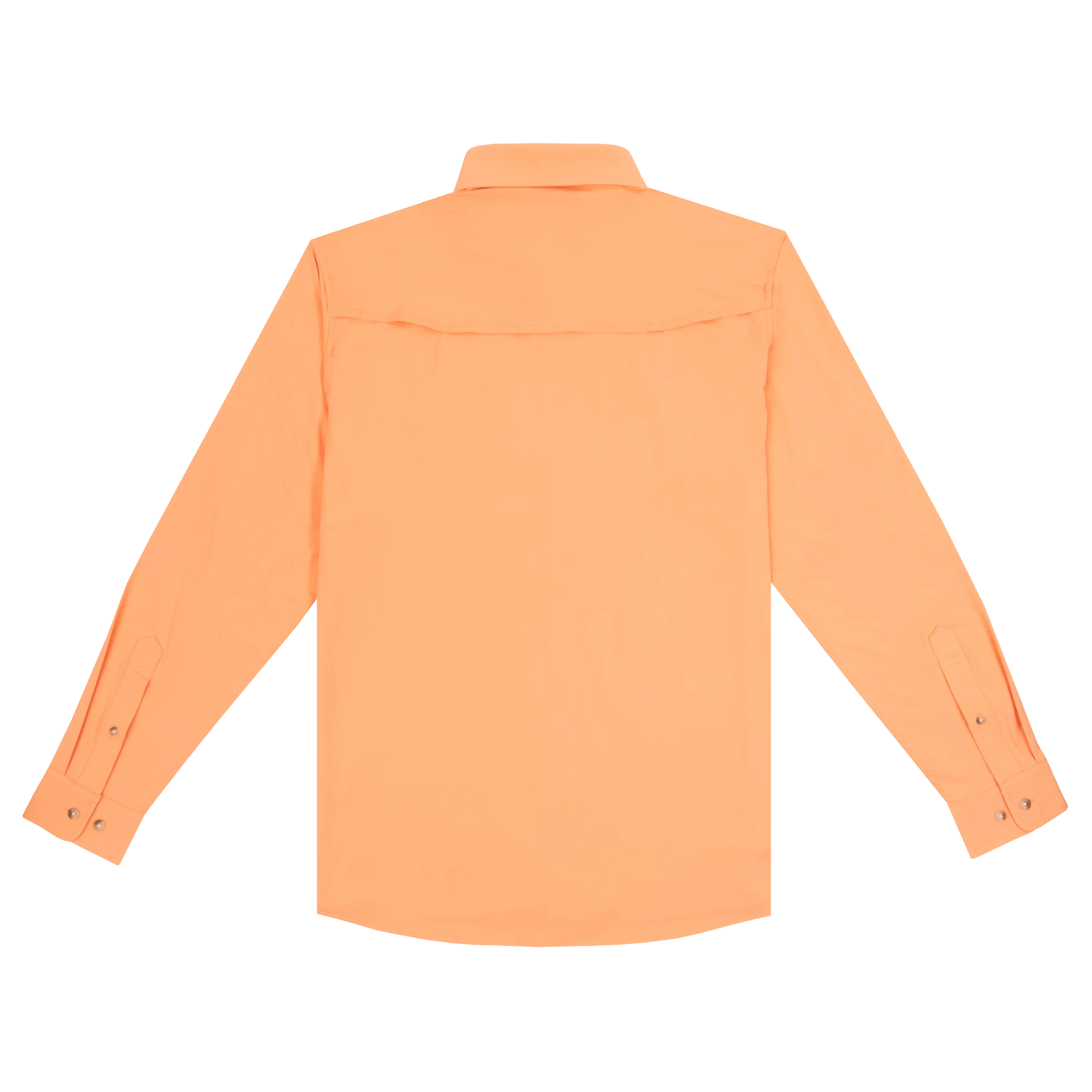 The Tequila Sunrise - Image 8