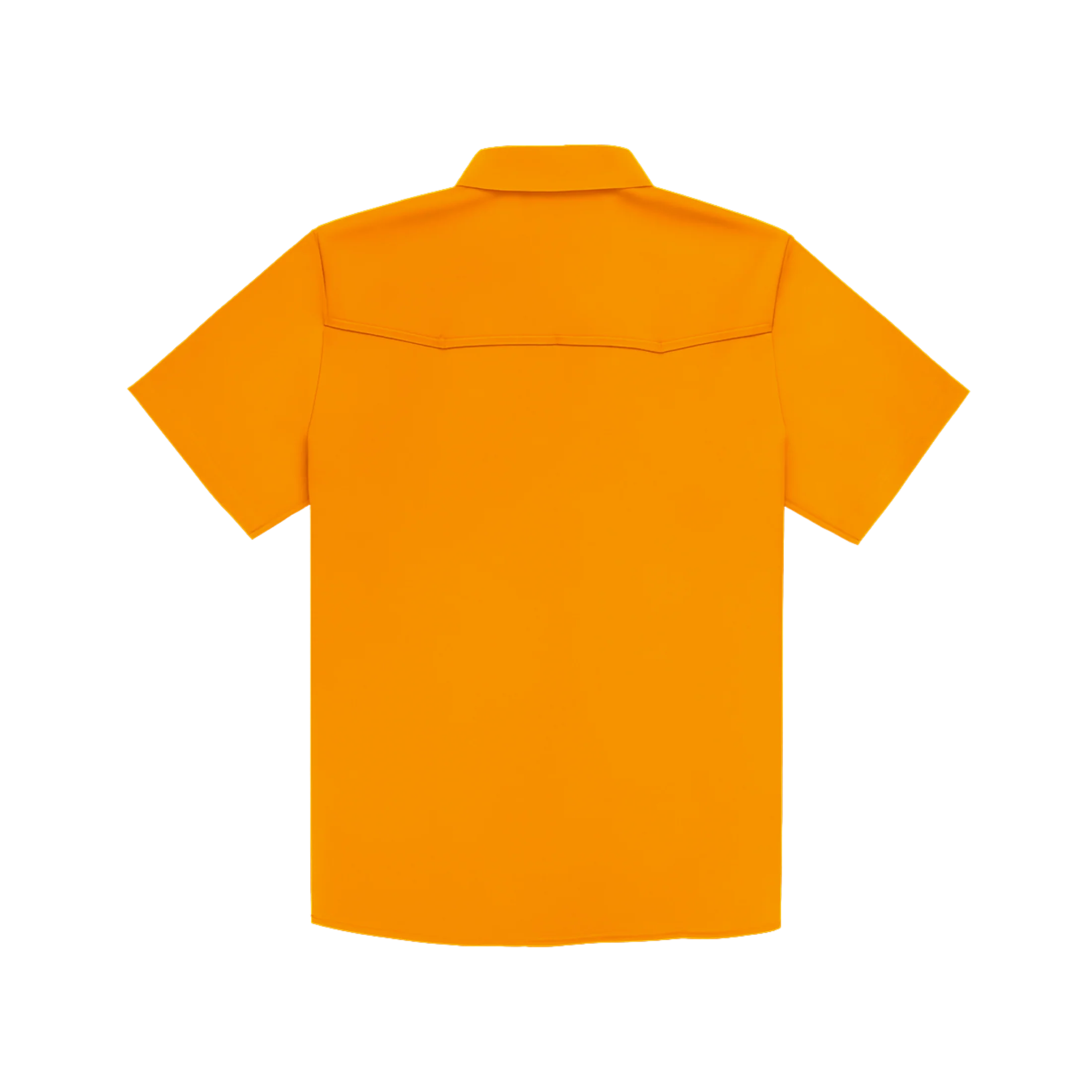 The Volunteer - Image 8